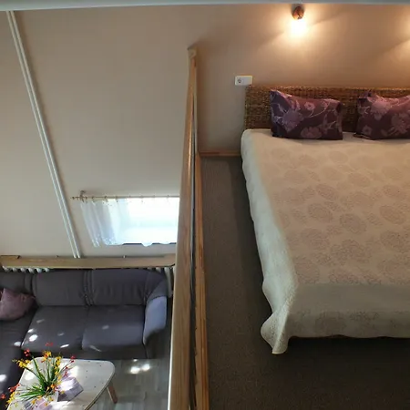Zveju 29 Palanga