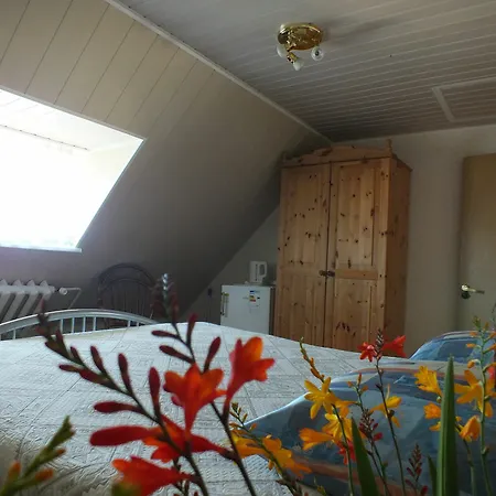 Villa Zveju 29 *