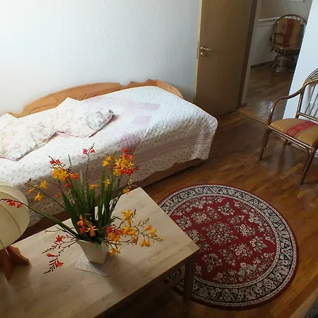 Zveju 29 Villa Palanga