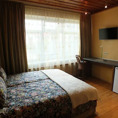 Villa Zveju 29 *