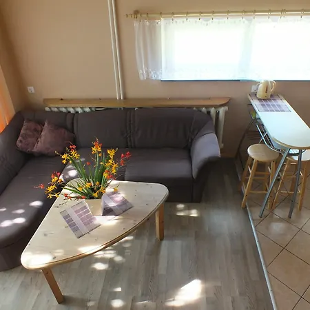 Zveju 29 *
