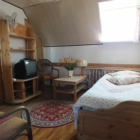 Zveju 29 *